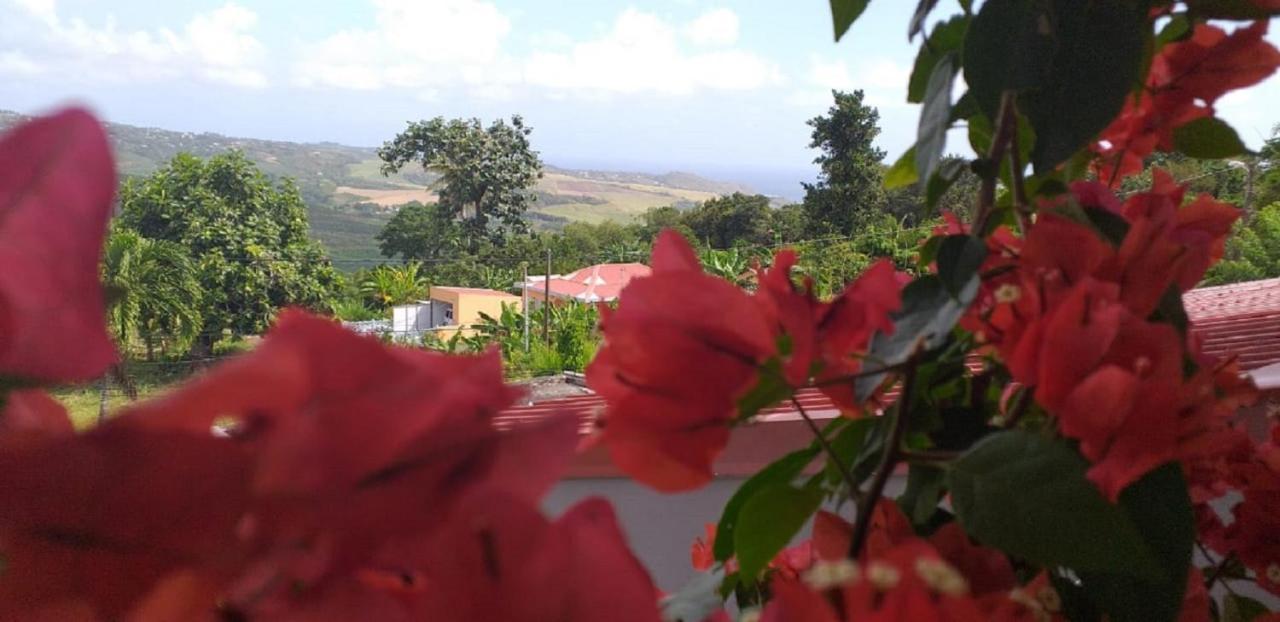 Appartamento T2 Échappée belle Sainte-Marie Kybo Karaib Location pkg Mtgne Cosy Esterno foto