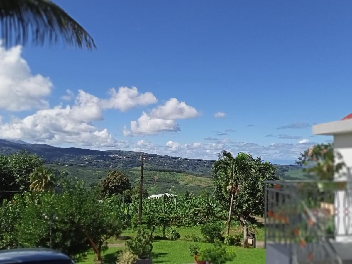 Appartamento T2 Échappée belle Sainte-Marie Kybo Karaib Location pkg Mtgne Cosy Esterno foto